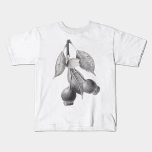 Gumnuts graphite drawing Kids T-Shirt